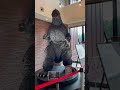 GODZILLA               道の駅おとふけ  なつぞらのふる里