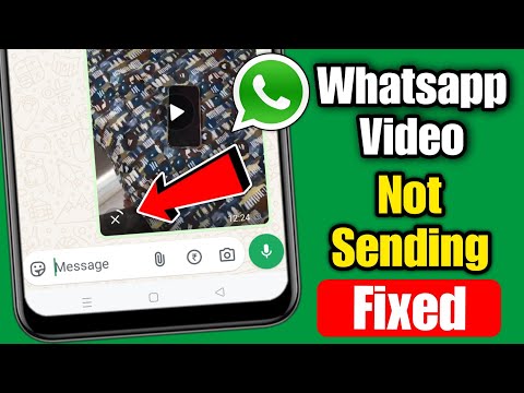 Whatsapp video not