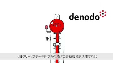 Data Virtualization Overview (Japanese)
