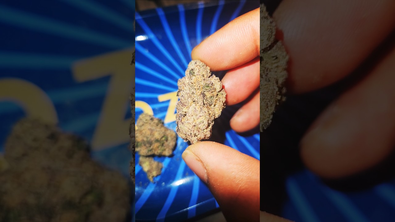 CINNAMON MILK BY CRESCO  STRAIN REVIEWS