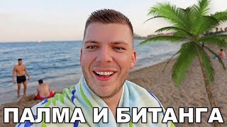 картинка: ПАЛМА И БИТАНГА... | BCN VLOG #3