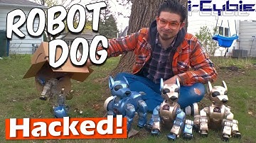 Reverse Engineering the i-Cybie Programmer - Upgrading a Vintage AIBO Clone from 2001!