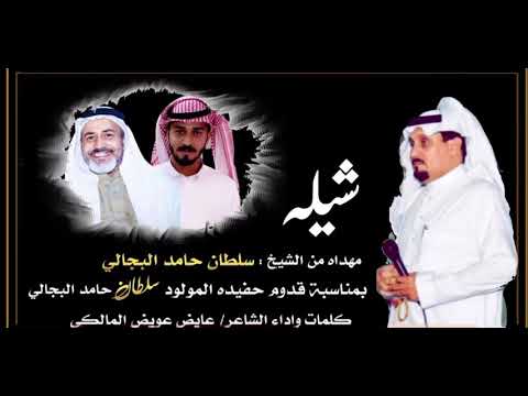 شيلة سلطان حامد البجالي