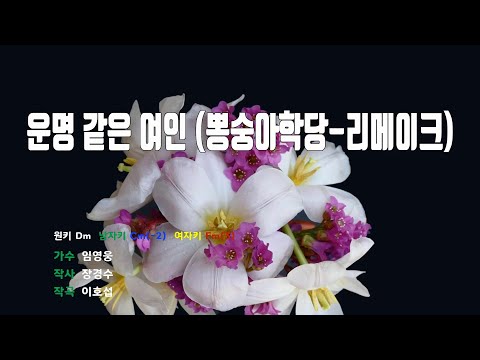 [은성 반주기] 운명같은여인(뽕숭아학당-리메이크) - 임영웅