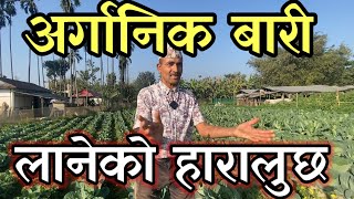अर्गानिक सब्जी खेती गरेर यस्तो राम्रो कमाई 