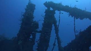 USS Spiegel Grove Shark 2
