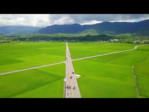 20180924 台東 池上 伯朗大道 空拍 4K & DJI Mavic Pro