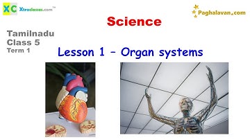 Tamilnadu Samacheer - Class 5 (2021-22) Study materials - Term 1 - Science - Lesson 1- Organ systems