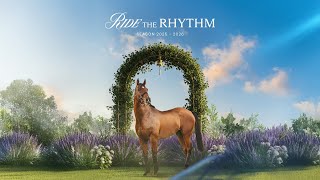 Ride the Rhythm | The 2025–2026 Horse Racing Season at Abu Dhabi Turf Club