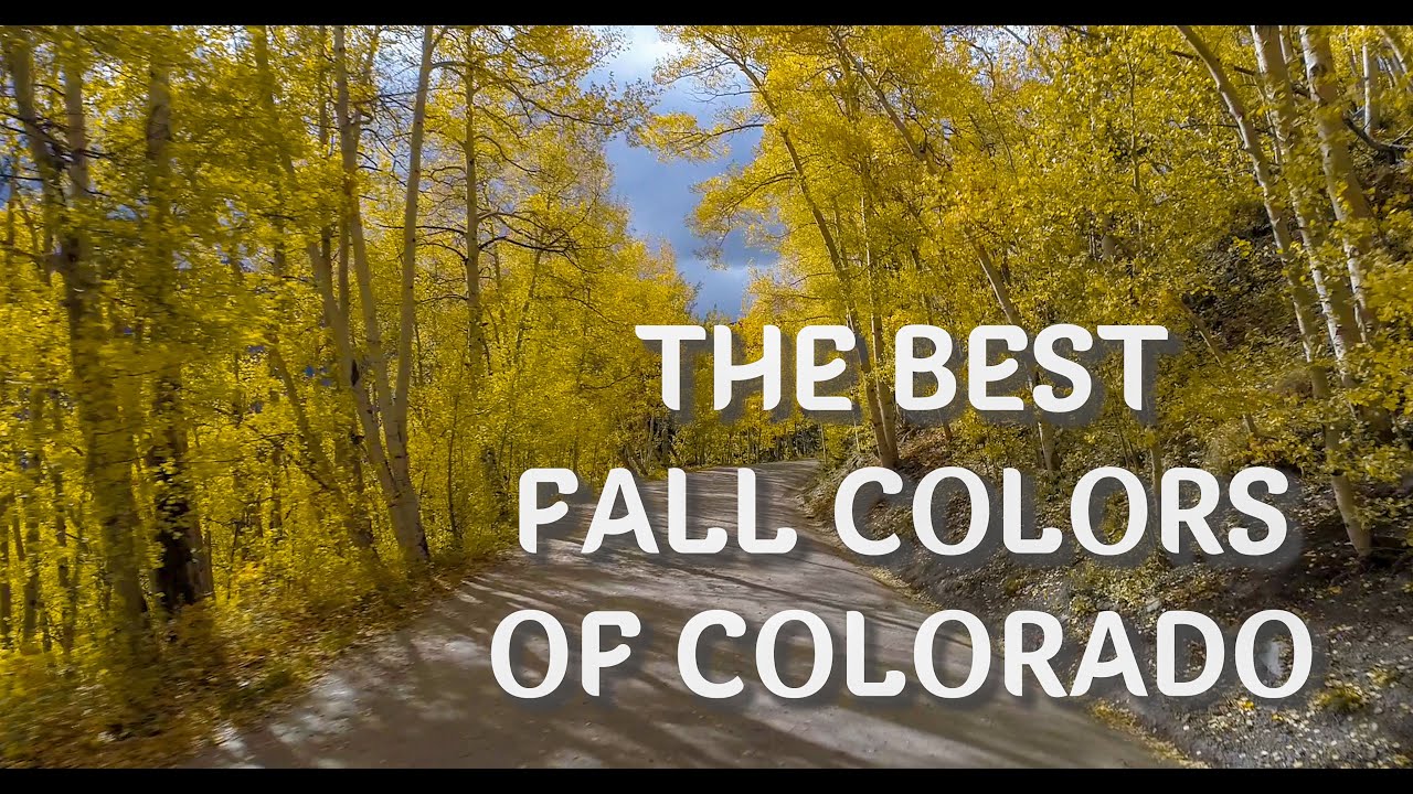 Best Places to see the Autumn colors in Colorado YouTube