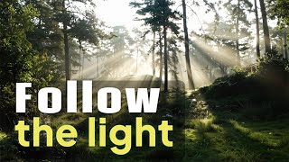 Sunlit Path. A Journey Through the Forest. | Forest Music & Sounds for Relaxation | Anti-stress