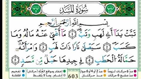 سورة المسد من مصحف التجويد - توفيق النوري -