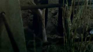 残虐！狂宴の館 HUMAN BEASTS/BESTIAS HUMANAS 1980 | ホラー・カルト