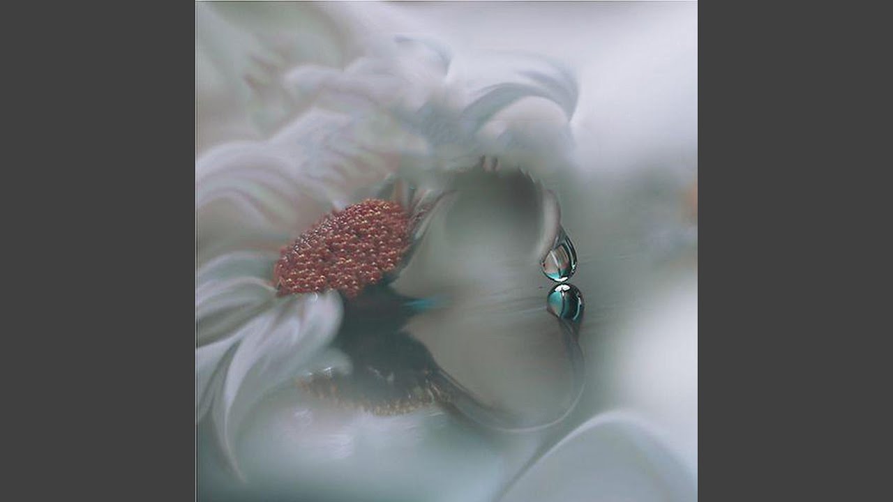 神仙道 (《封神英雄榜》主题曲)