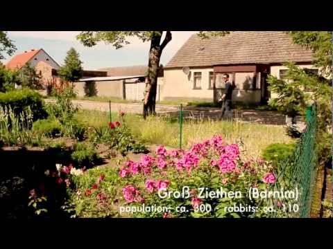 A daytrip to Brandenburg - to find an adventue