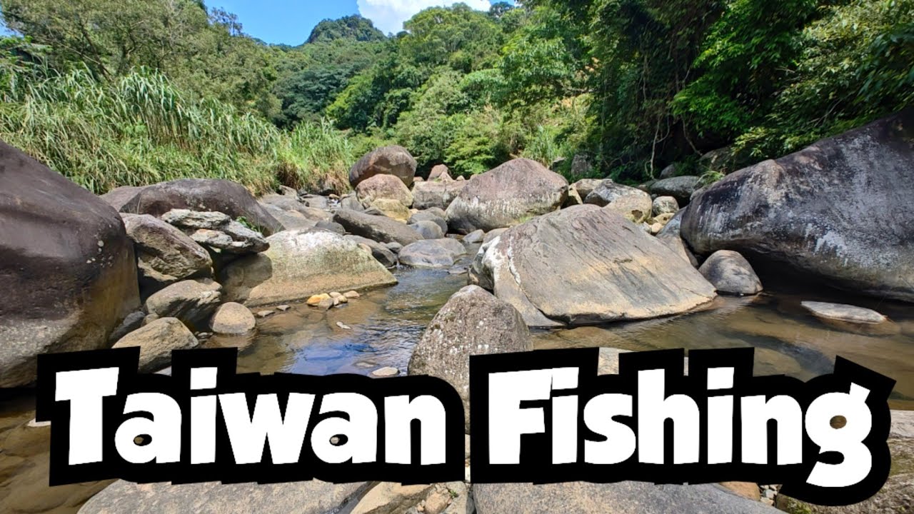 Microfishing a Pristine Stream in Taipei | Taiwan Fishing 🇹🇼