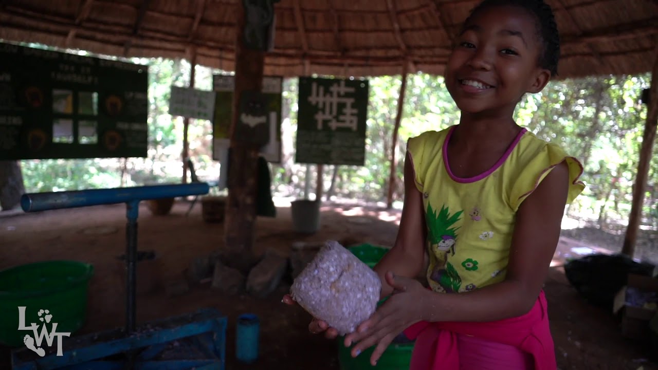 bella ciao Learning about nature and the environment at the Lilongwe Wildlife Centre