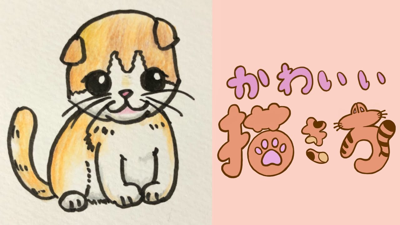 可愛い動物イラスト スコティッシュフォールドの描き方 猫のイラスト