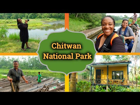 Chitwan National Park // Canoe Ride and Safari || Nepal Travel Vlog