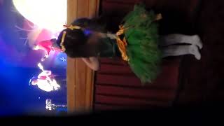 The wiggles the celebration tour (Facebook video by fee de jong)