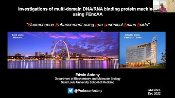 Investigations of multi-domain DNA/RNA binding protein machines using FEncAA