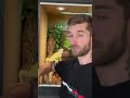 Quand l’iguane veut participer au vidéo YouTube 😂😂😂