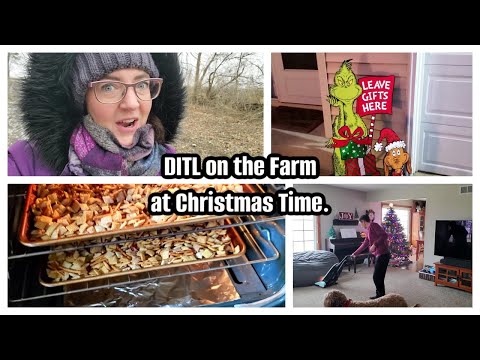 DITL Farm Life at Christmas Time