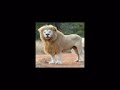 Bahati Ngelela 31 Mei 1 6 2026 0617832475 