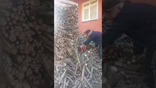 Echo 510 Testere Ile Odun Doğrama.