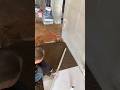 🏗️ Amazing Cement Hacks | DIY Construction & Molding Ideas 🧱