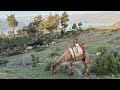 Toroslarda Yörük Obası 🌿🐐🐕🐫🌿