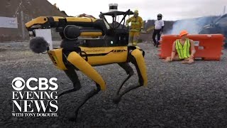 Robot "dogs" sniff out places too dangerous for humans