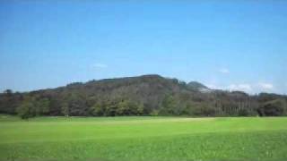 Balsaworx RC SF_ 260.avi