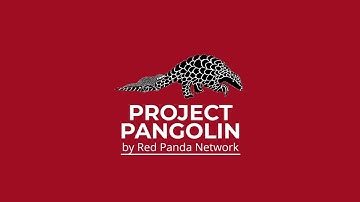 WORLD PANGOLIN DAY 2024 | Red Panda Network | Chinese Pangolin