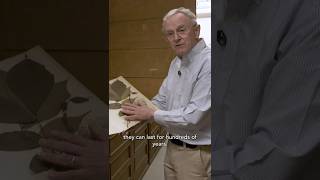 The Man Who Collected 50,000 Plants