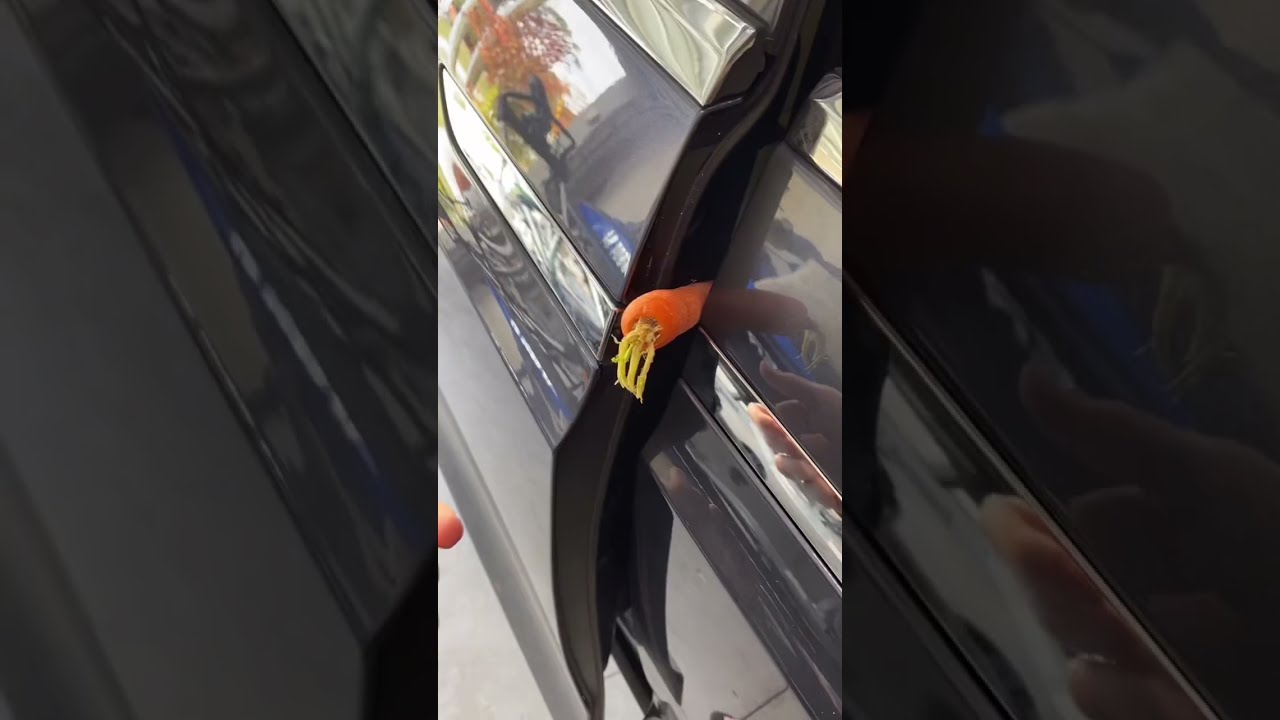 Model X Falcon Wing Doors Are Less Dangerous Than Standard Car