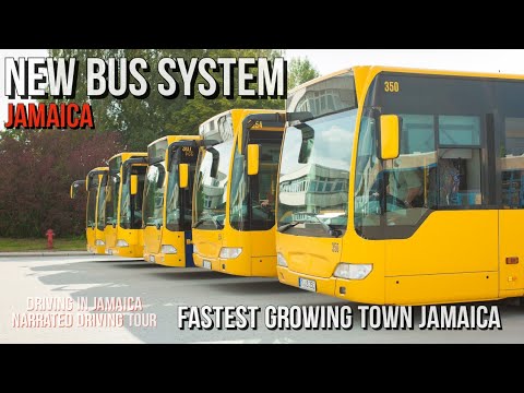 Nw Bus System New Bus System Fastest Growing Town Jamaica - YouTube