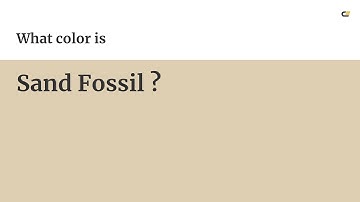 Sand Fossil color #decfb3 hex color - Yellow color - Cool color decfb3