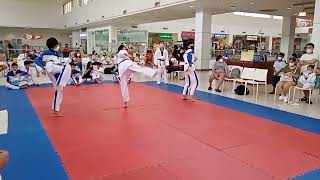 Low Brown Belt Taekwondo Promotion Test