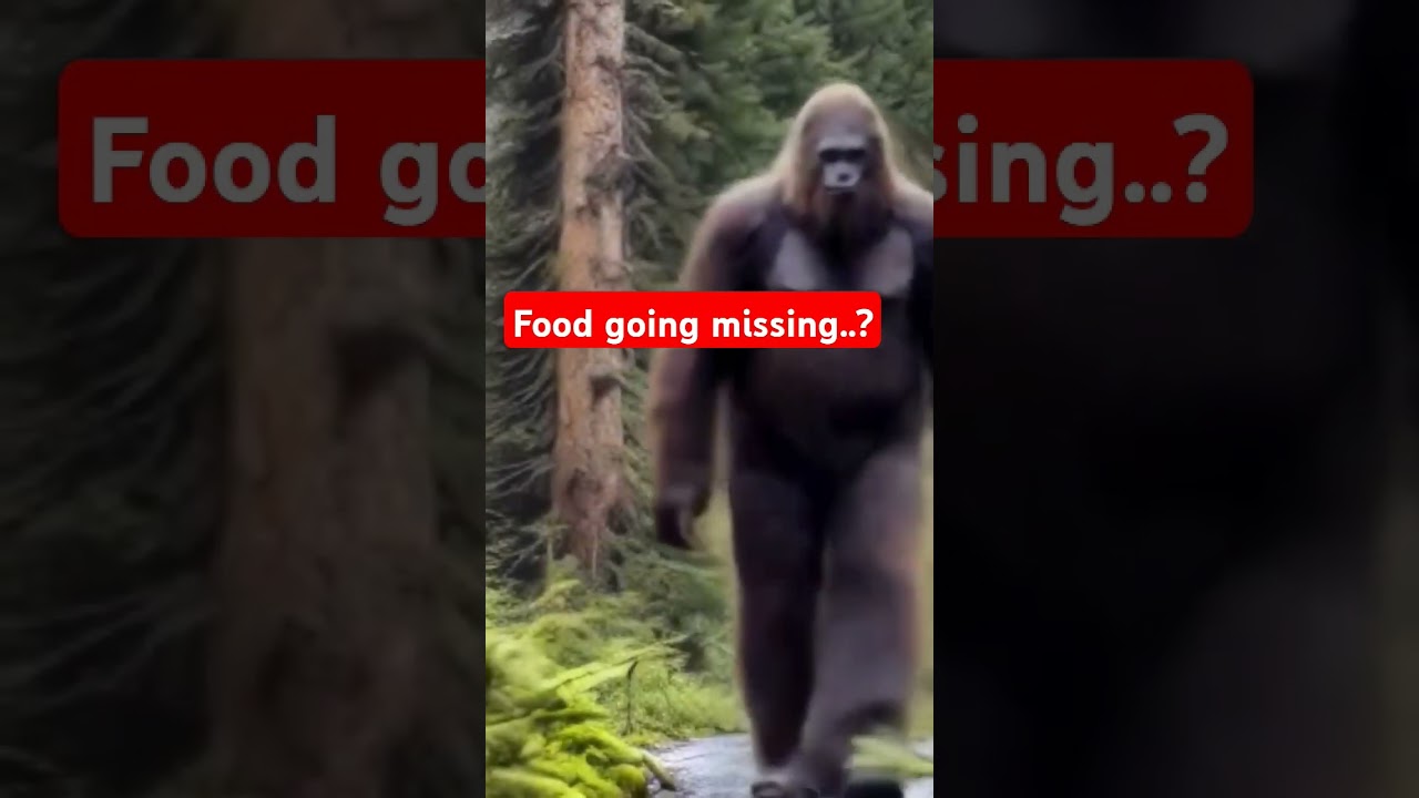 Has your food gone missing lately? 