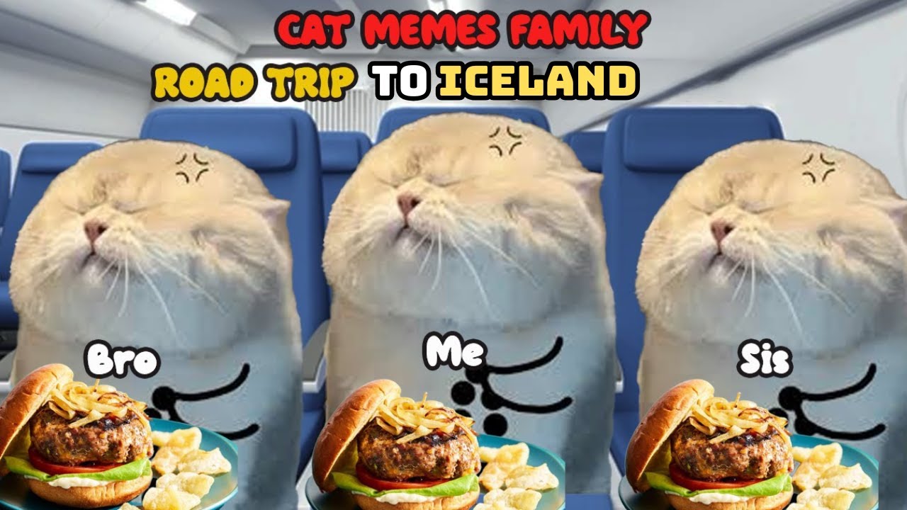 Cat Memes Family Road Trip to Iceland