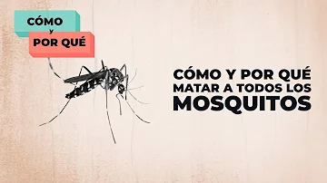 ¿Qué mata a los mosquitos al instante?