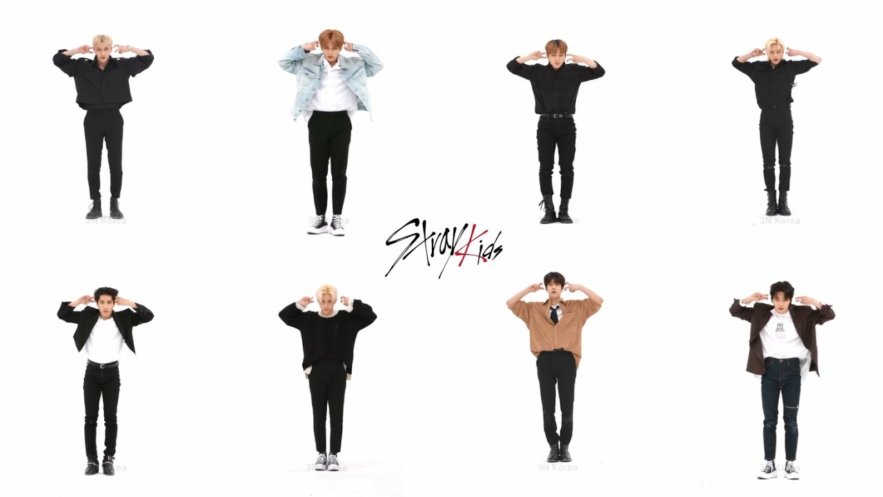 Stray Kids 
