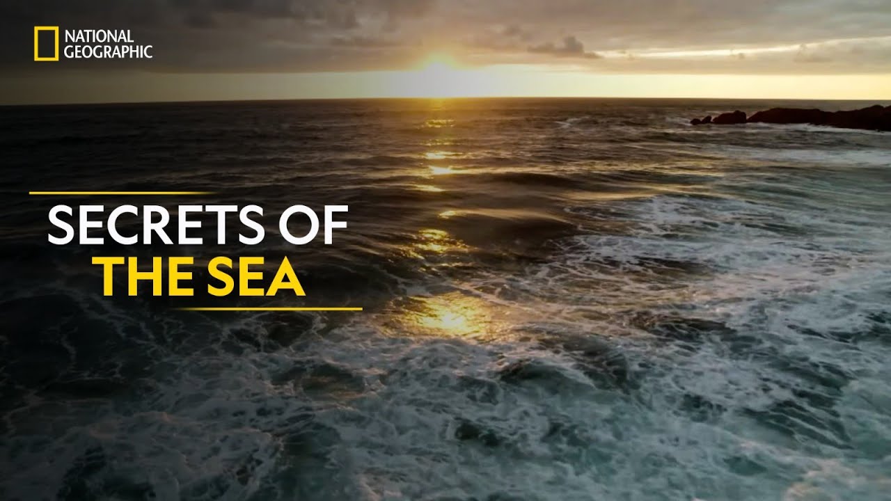 Secrets of the Sea  Hostile Planet  Full Episode S01 E02    National Geographic