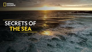 Secrets of the Sea | Hostile Planet | Full Episode S01E02 | हिन्दी | National Geographic