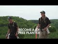 Apply now to become a tree planter