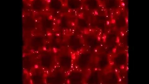 Bacterial floc mediated rapid streamer formation in creeping flows