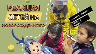 Реакция наших детей на нового члена в нашей семье