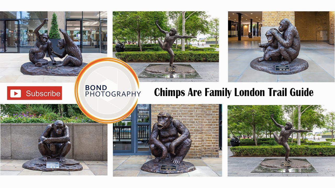 Chimps Are Family a London Trail Guide