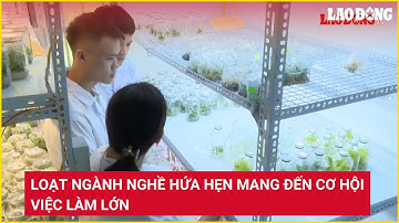 Loạt ngành nghề hứa hẹn mang đến cơ hội việc làm lớn | Báo Lao Động